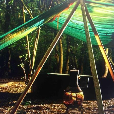 Magical Forest Yurt Sturry Kültér fotó