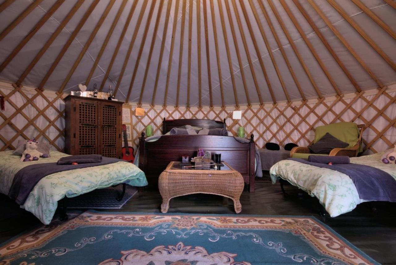 Magical Forest Yurt Sturry Kültér fotó