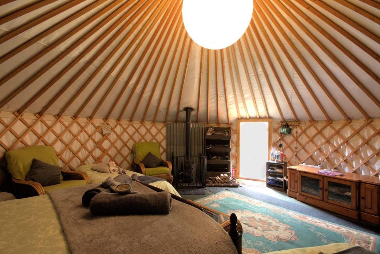 Magical Forest Yurt Sturry Kültér fotó