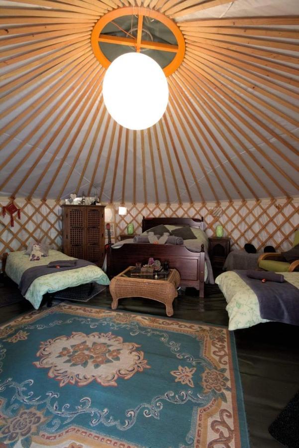 Magical Forest Yurt Sturry Kültér fotó