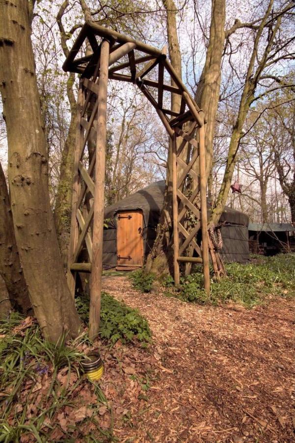 Magical Forest Yurt Sturry Kültér fotó