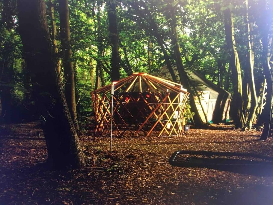 Magical Forest Yurt Sturry Kültér fotó