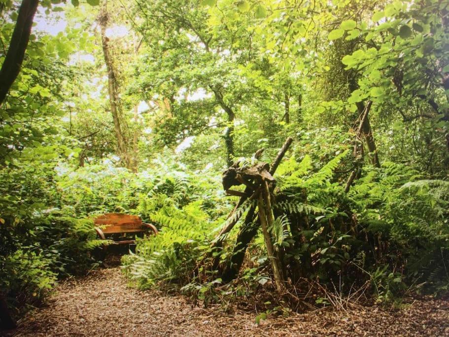 Magical Forest Yurt Sturry Kültér fotó