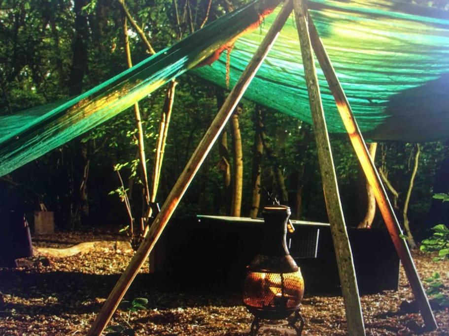 Magical Forest Yurt Sturry Kültér fotó