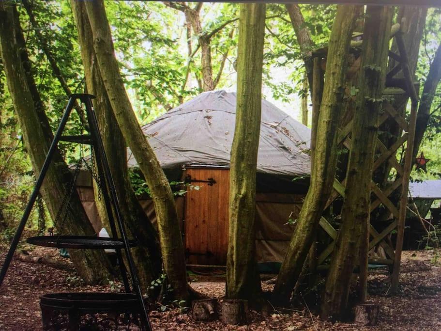 Magical Forest Yurt Sturry Kültér fotó