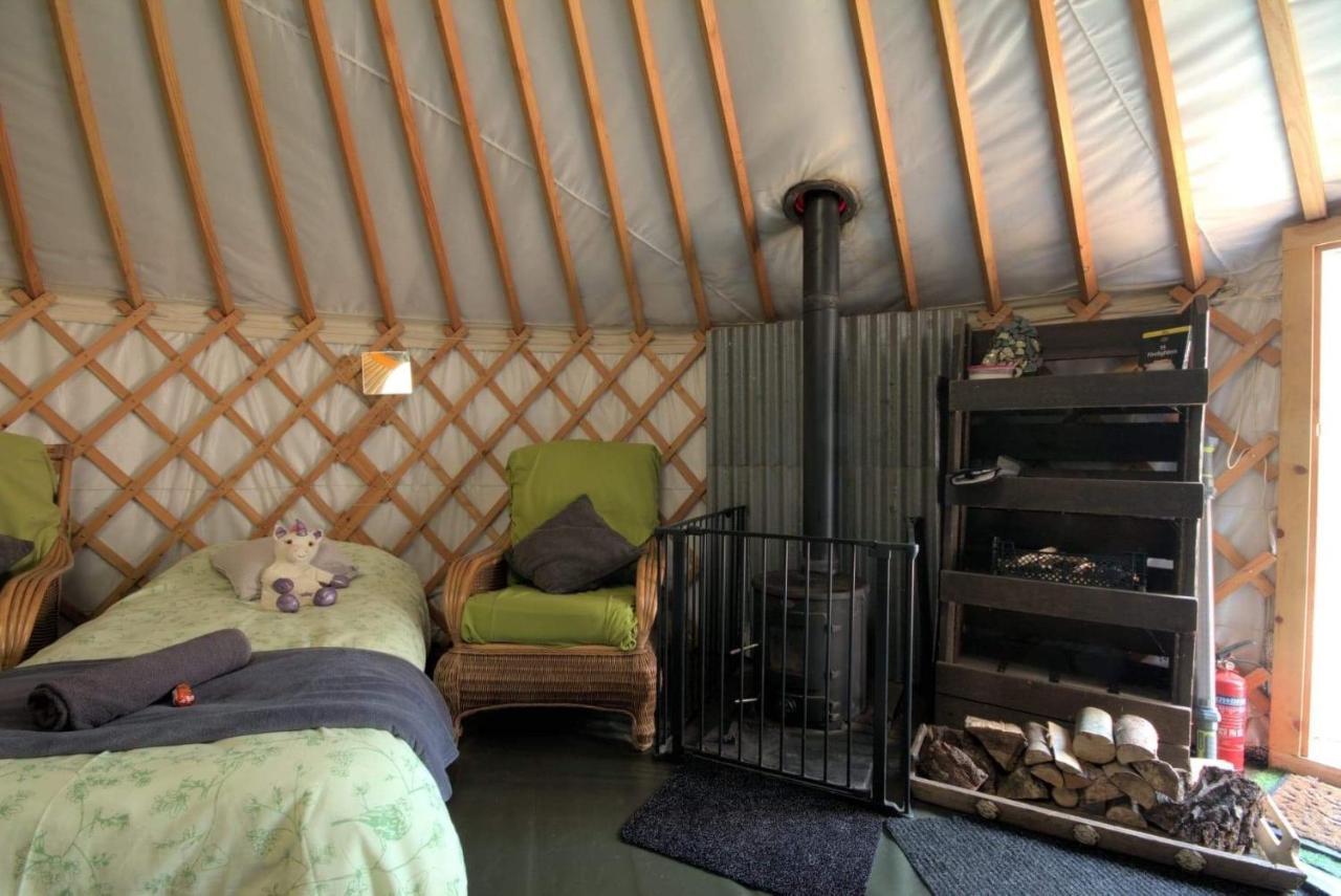 Magical Forest Yurt Sturry Kültér fotó
