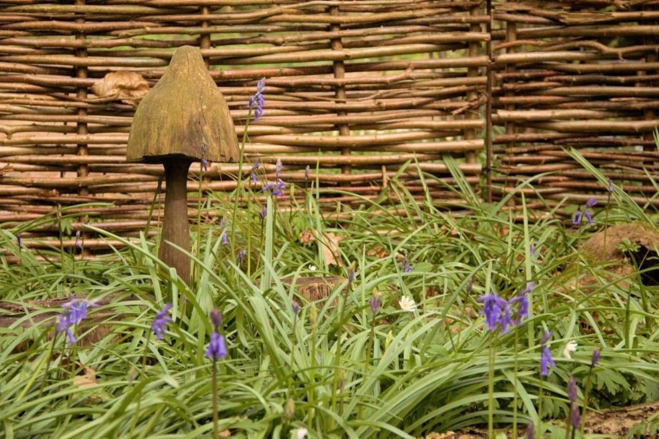 Magical Forest Yurt Sturry Kültér fotó
