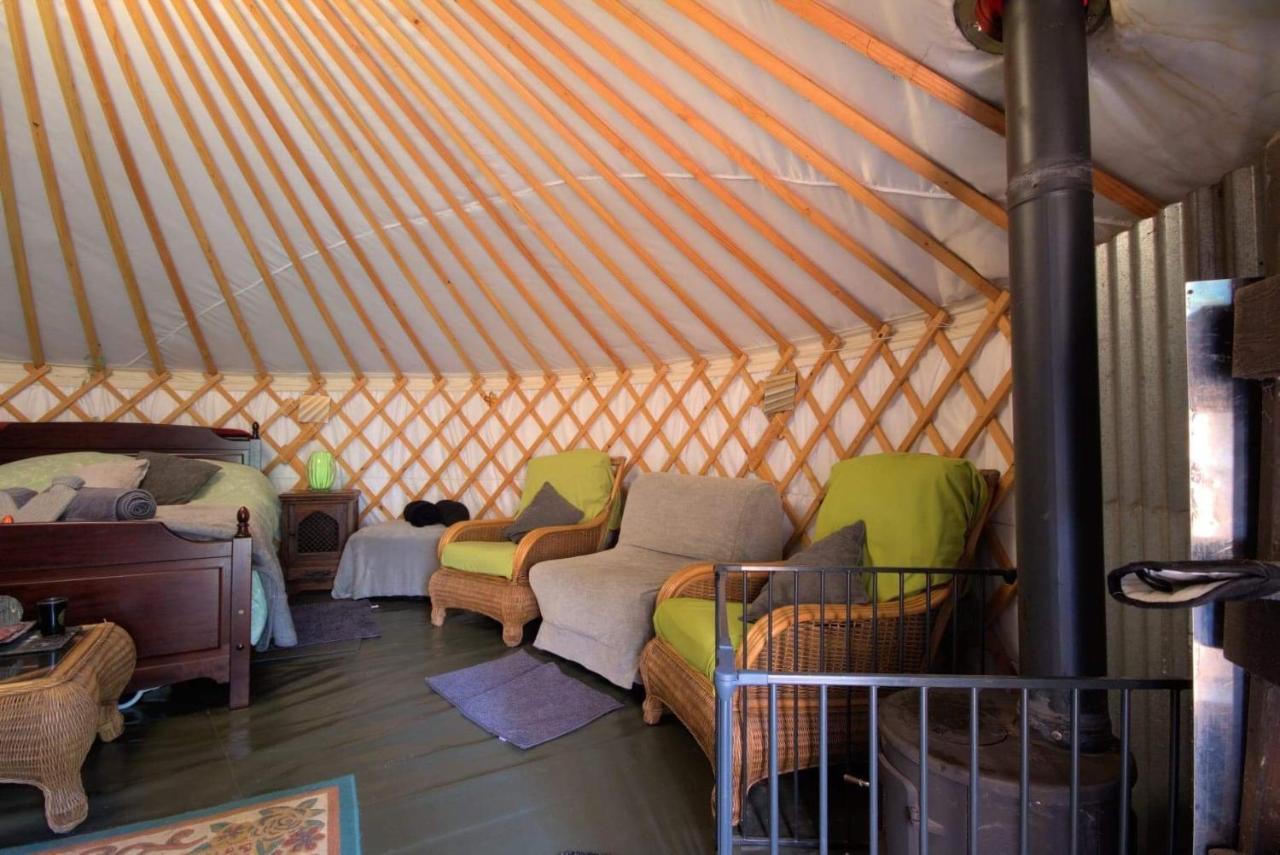 Magical Forest Yurt Sturry Kültér fotó