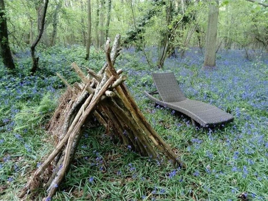 Magical Forest Yurt Sturry Kültér fotó