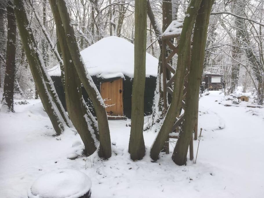 Magical Forest Yurt Sturry Kültér fotó
