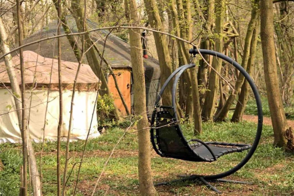 Magical Forest Yurt Sturry Kültér fotó