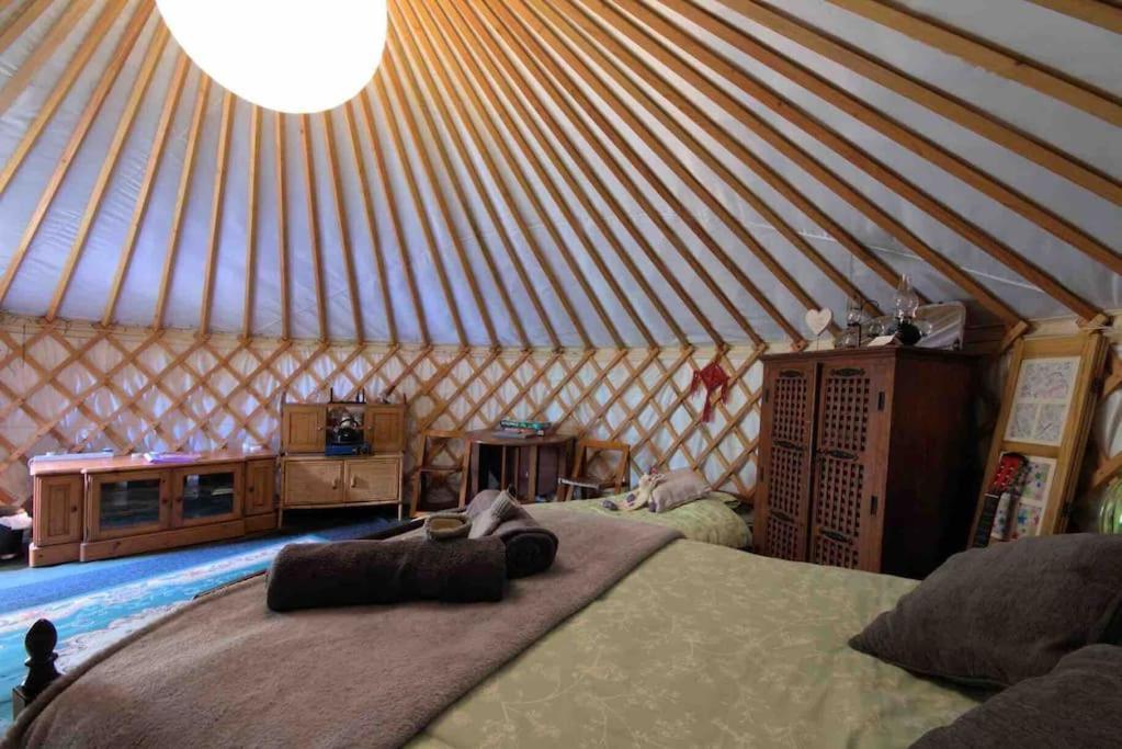 Magical Forest Yurt Sturry Kültér fotó