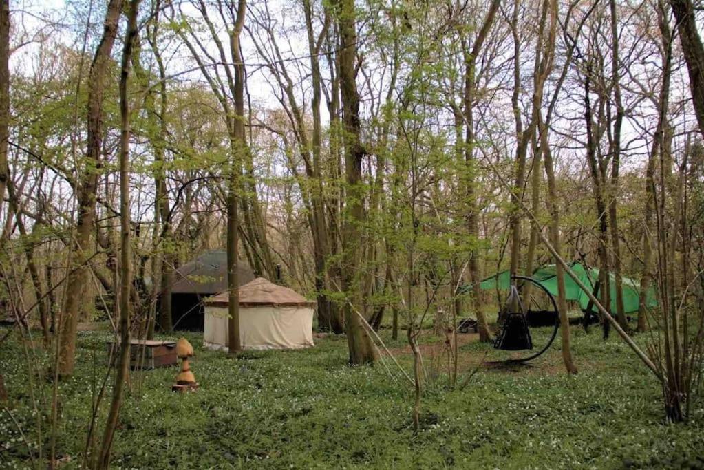 Magical Forest Yurt Sturry Kültér fotó