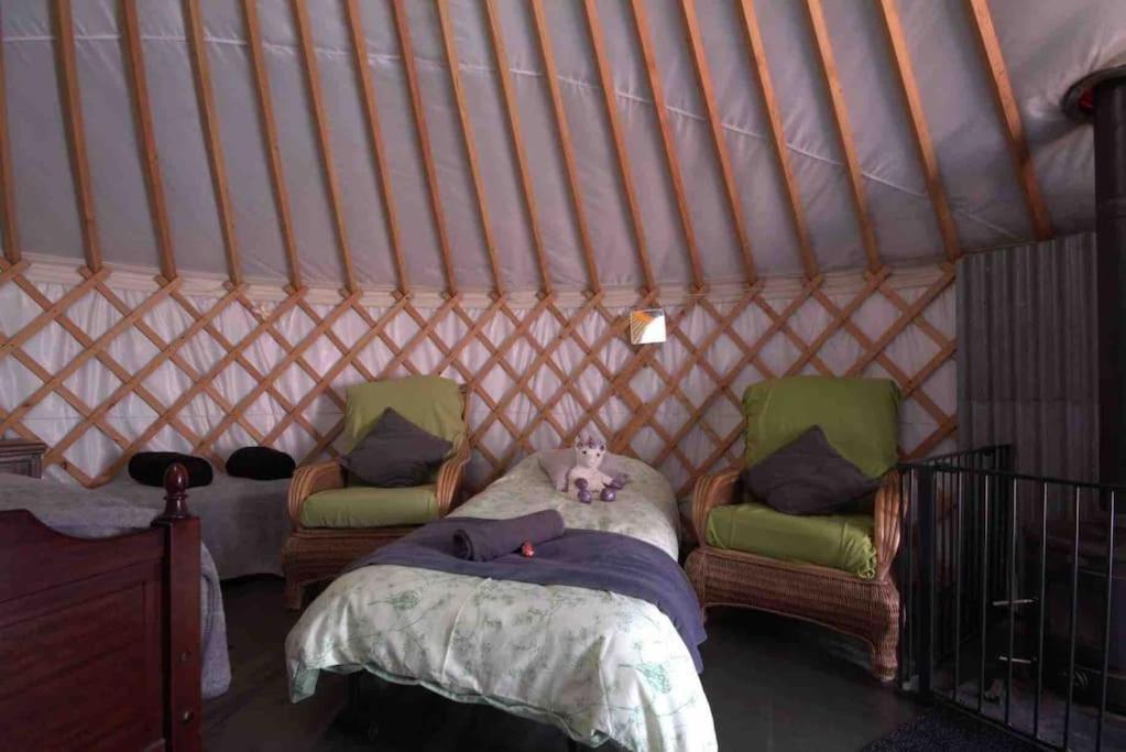Magical Forest Yurt Sturry Kültér fotó