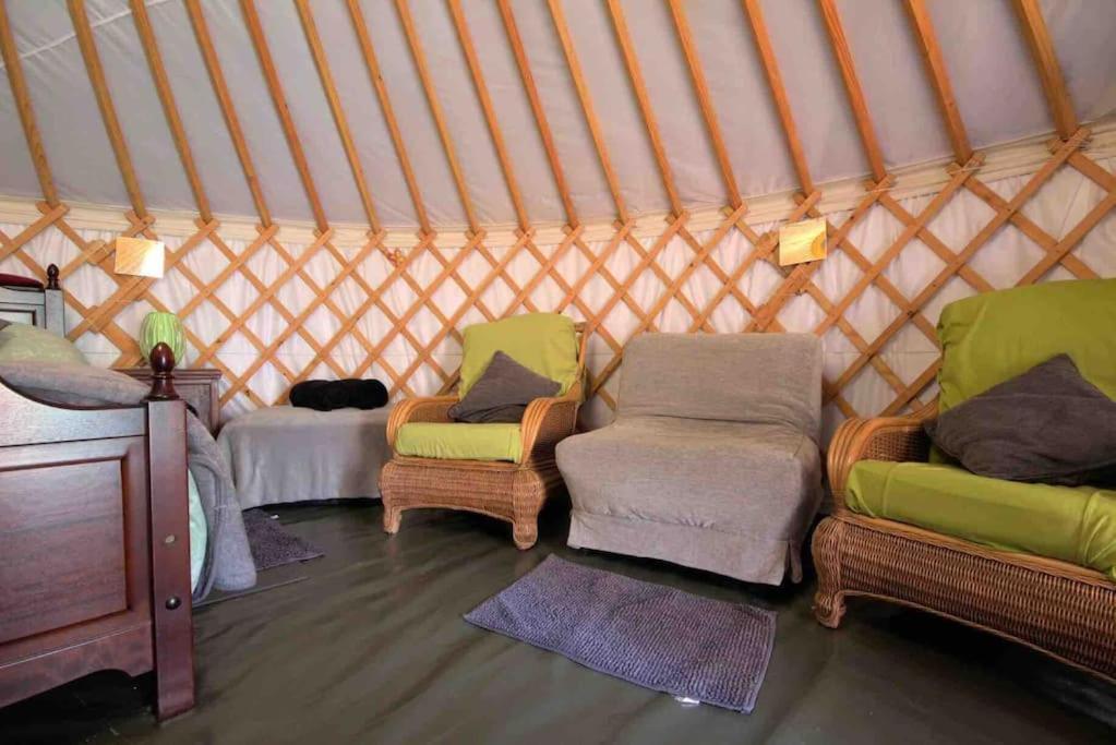 Magical Forest Yurt Sturry Kültér fotó