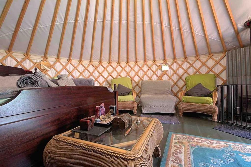 Magical Forest Yurt Sturry Kültér fotó