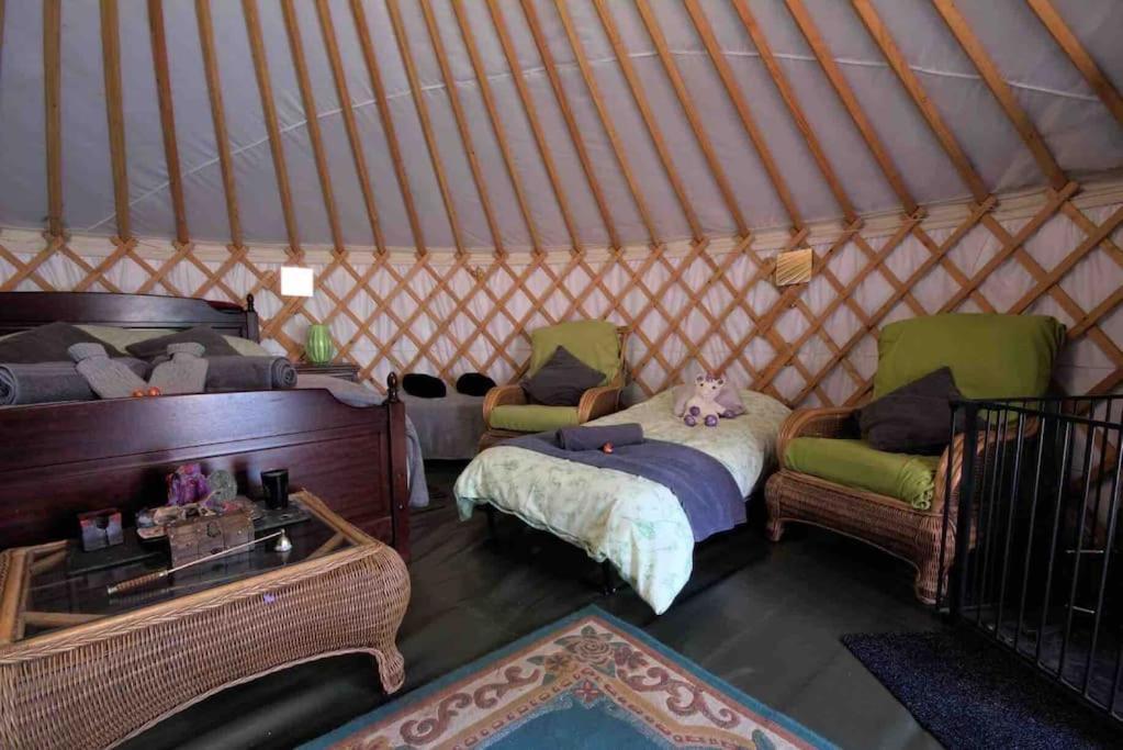 Magical Forest Yurt Sturry Kültér fotó