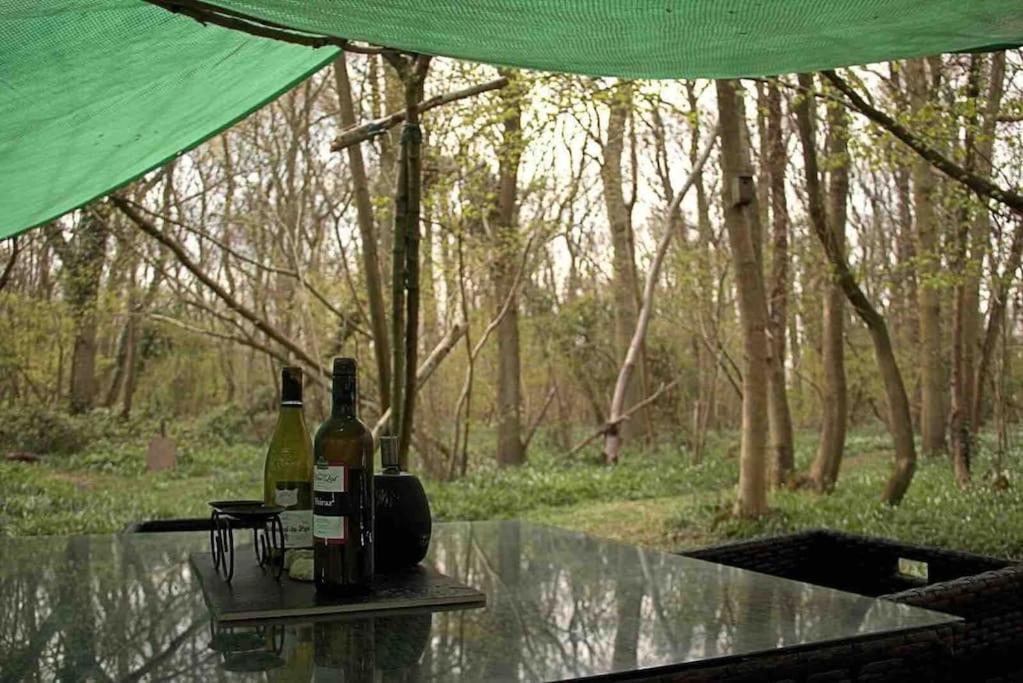 Magical Forest Yurt Sturry Kültér fotó
