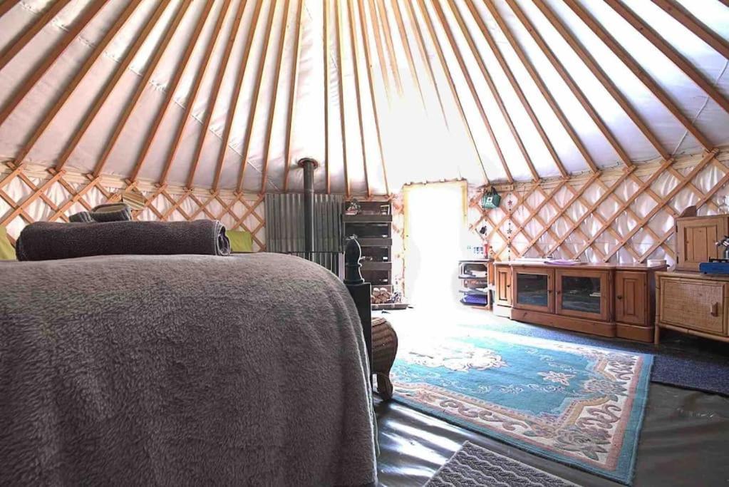 Magical Forest Yurt Sturry Kültér fotó